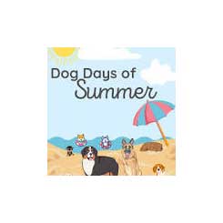 Dog Days of Summer Carleton Place